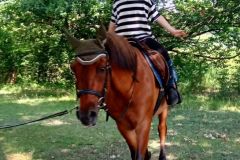 Uczestniczka wakacyjnej szkółki jeździeckiej na koniu podczas jazdy na lonży